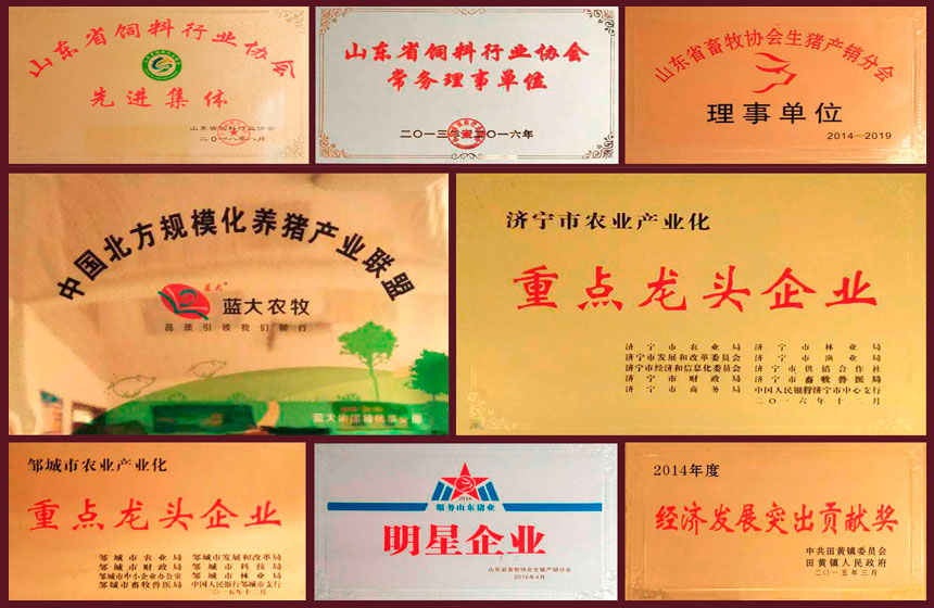 山東圣地山牧業(yè)有限公司