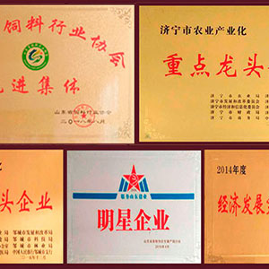 山東圣地山牧業(yè)有限公司