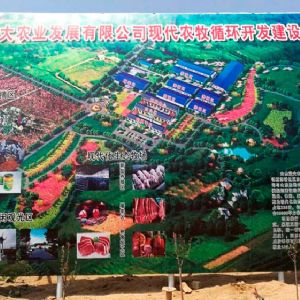 山東藍(lán)大農(nóng)業(yè)發(fā)展有限公司